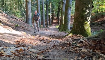 Leo van der Sluijs.jpg