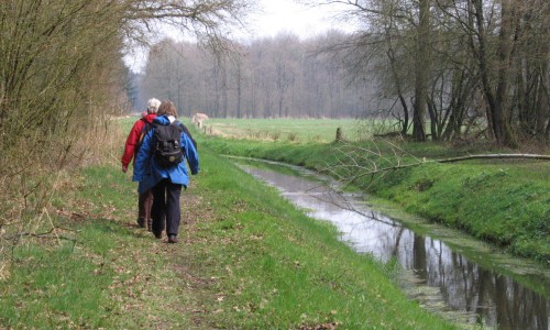 schouwpad-onderhoudspad_20060416 4 Voorstonden bij Brummen_hvdv.JPG