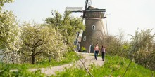 Bloesem Ad Snelwaard DSC_9603.jpg