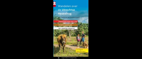 Wandelen over de Utrechtse Heuvelrug