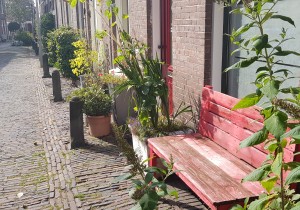 Natuur in de stad.jpg