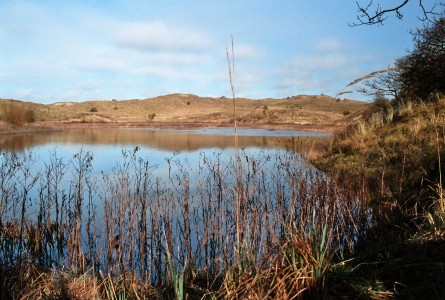 Onverhard Duinreservaat 1