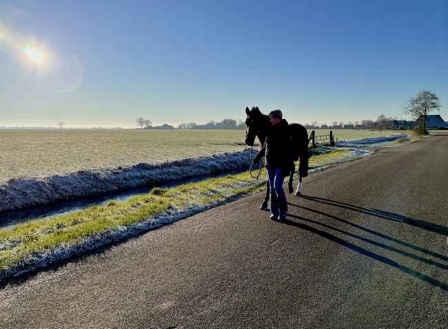 Ontmoeting van vrouw met merrie © Ernst Koningsveld
