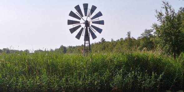Zuiderzeepad_weidemolen_langs_de_Scheene.jpg