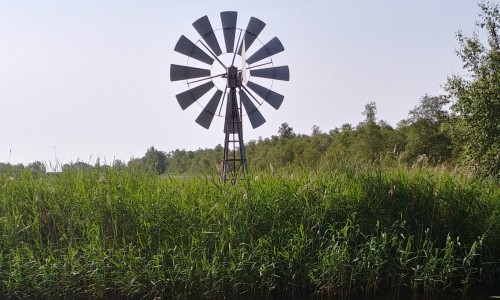 Zuiderzeepad_weidemolen_langs_de_Scheene.jpg