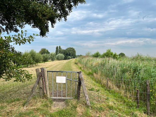 Langs de Vlaardingervaart tussen Vlaardingse Schoue en Schipluiden © Ernst Koningsveld-2