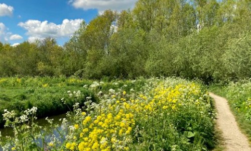 2022.0516 Foto Renée 04 - Voorjaar Gaasperplas.jpg