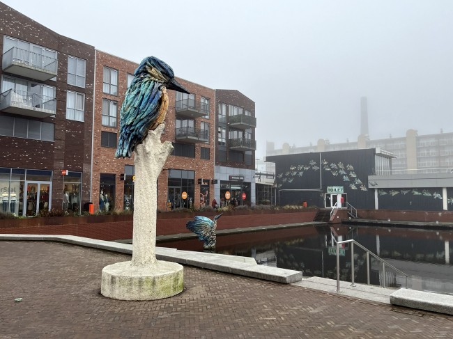 IJsvogels op het Marktplein in Almelo © Ernst Koningsveld