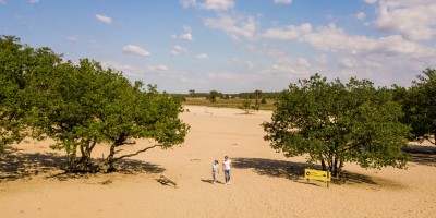 Loonse en Drunense Duinen.jpg