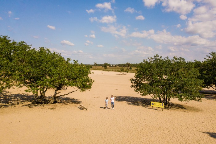 Loonse en Drunense Duinen
