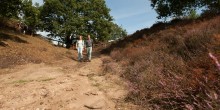 Onverhard Wandelen - Wandelnet - Foto Ad Snelderwaard.jpg