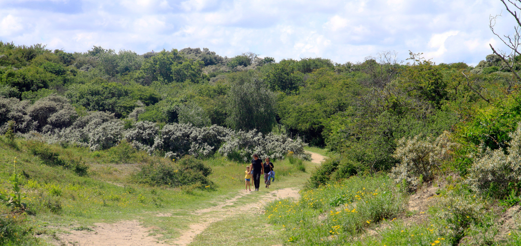 In de duinen © Judith van Bilsen