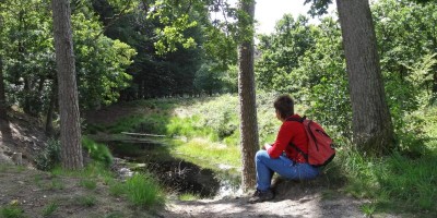 vuursche.jpg