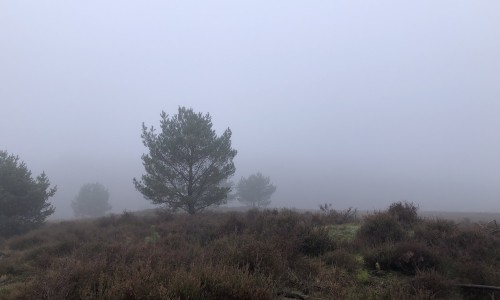 uitzicht mookerheide mist.jpg