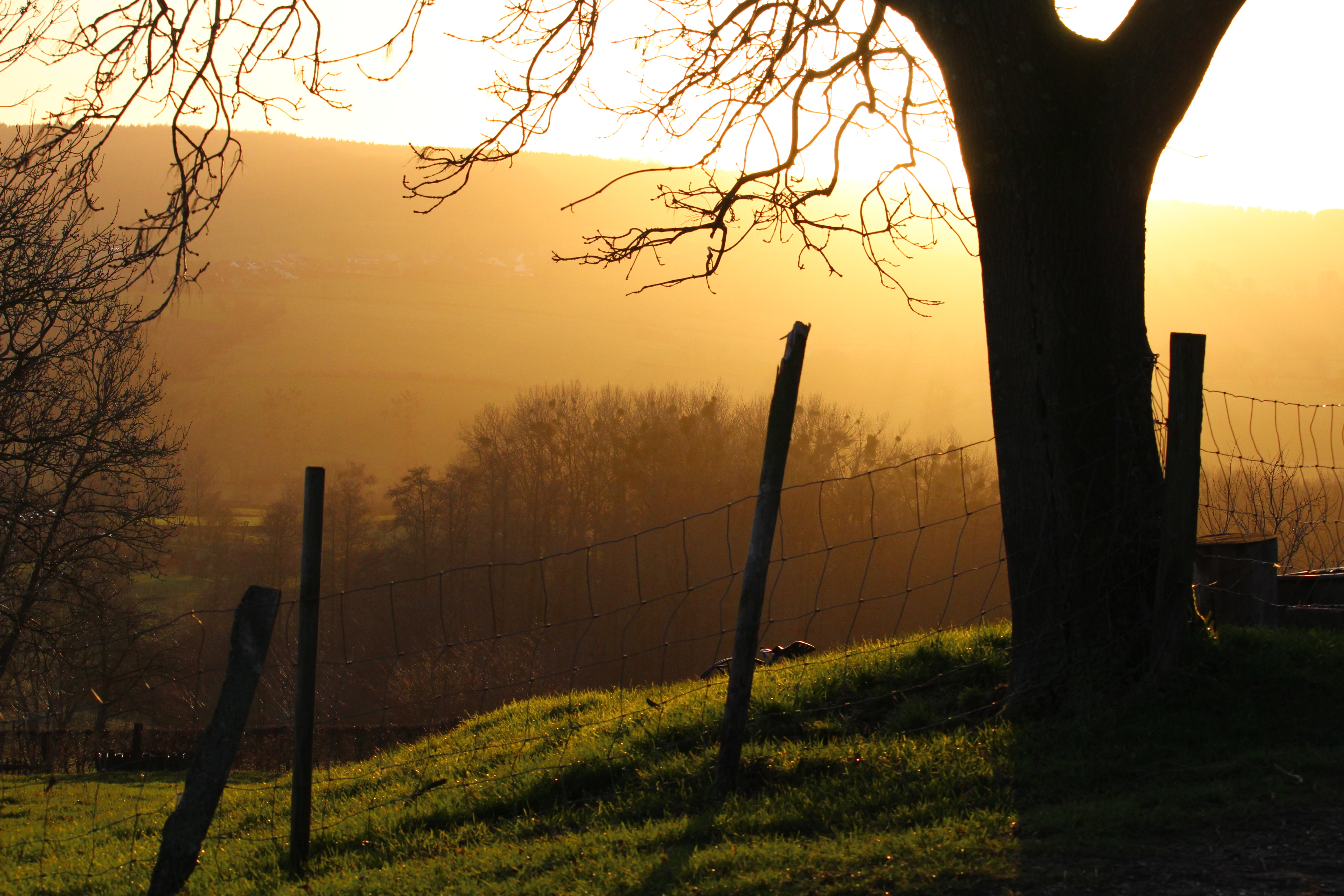 Vrijwilliger Luuk Gijselhart fotografeert voor gidsen - foto bij bericht.jpg