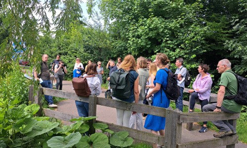 De Groene Draad - Vlinderpad Amersfoort - Foto door Frank Hart.jpg
