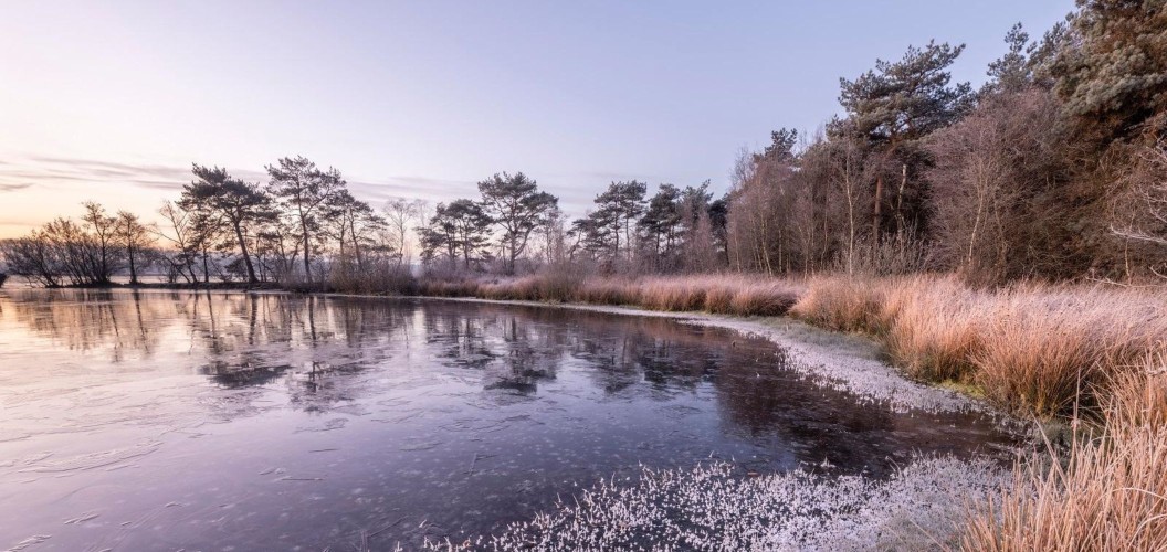 Winter op het ven De Flaes © Bob Luijks