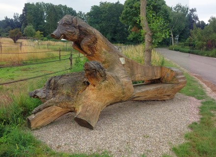 Zwijnsbank © Ton Hartman