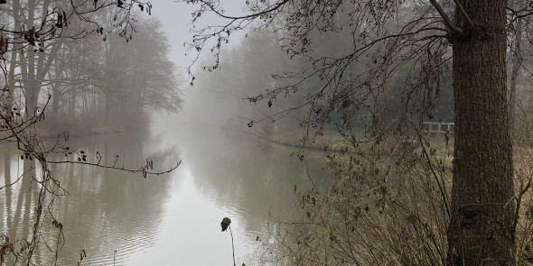mist kromme rijn.jpg