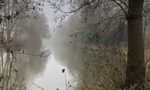 mist kromme rijn.jpg