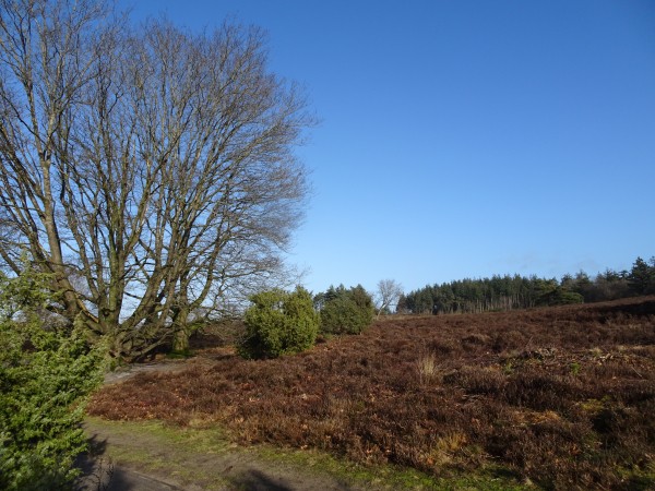 Achter Theehuis Lemelerberg