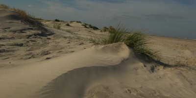 etappe 3 schiermonnikoog.jpg