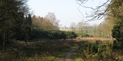 Veluwe_zwerfpad_etappe_04.jpg