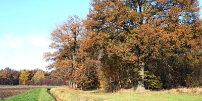 etappe 09.jpg