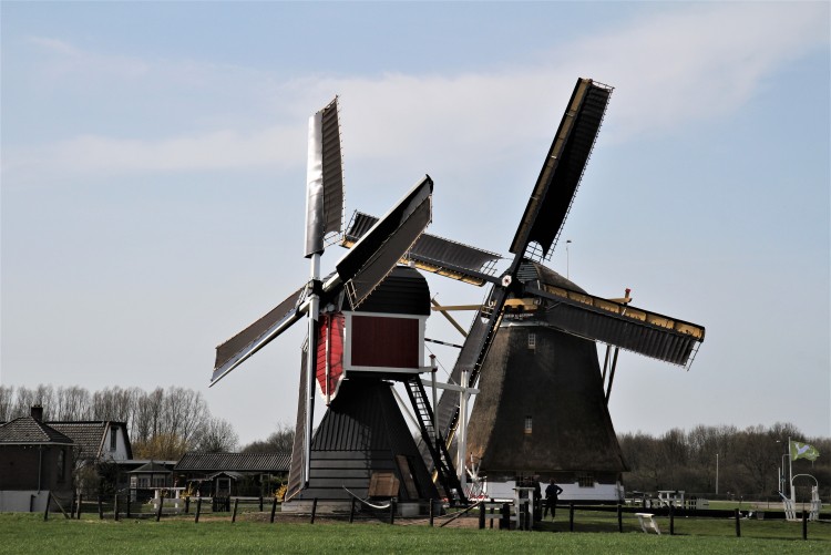 molen polder westbroek en polder buitenweg