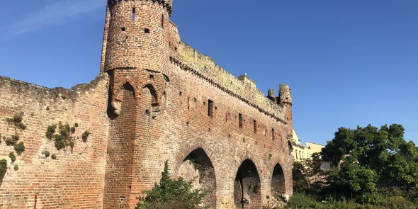 Zutphen ruine berkel.jpeg