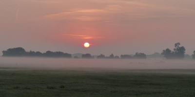 16 zomer.jpg