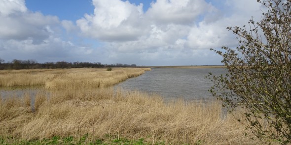 Uitzicht op Oostvaardersplassen.JPG