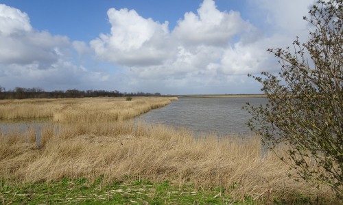 Uitzicht op Oostvaardersplassen.JPG