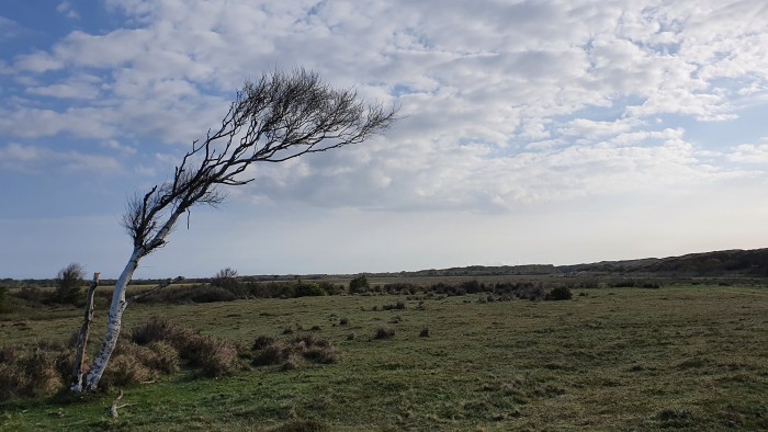 rondje-texel-2