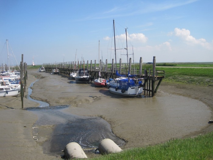 Wandelgids Zeeuws Vlaanderen Saeftinghe