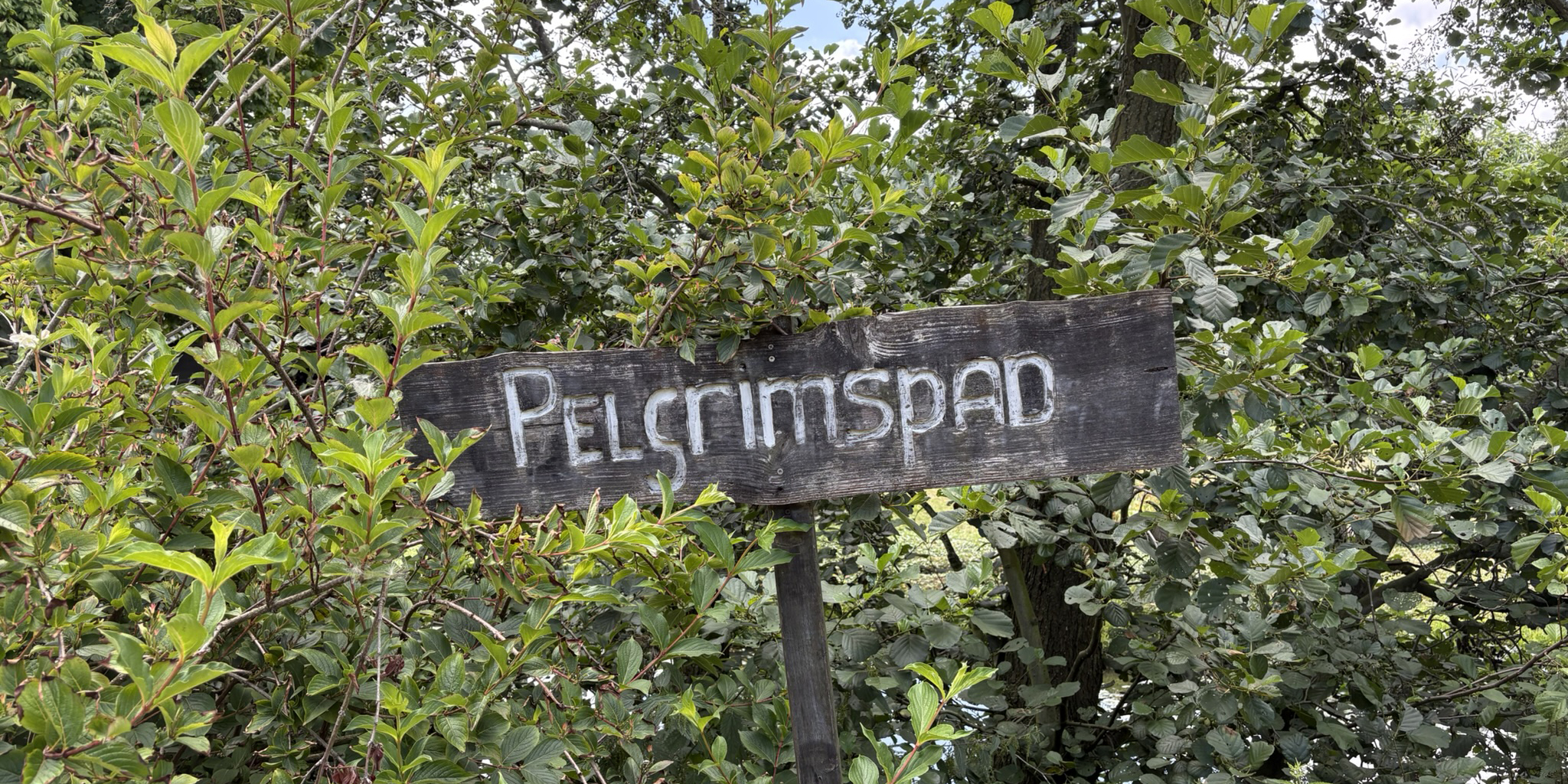 Pelgrimspad 4-2 © Ernst Koningsveld.jpg