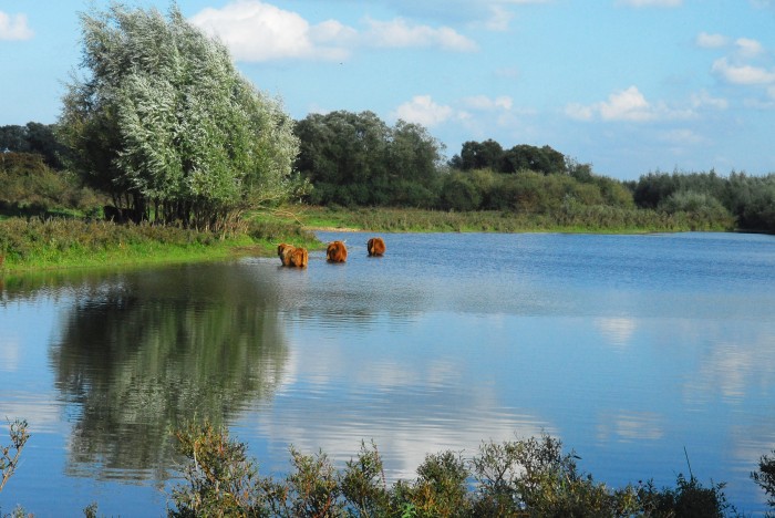 Hanzestedenpad_etappe_04