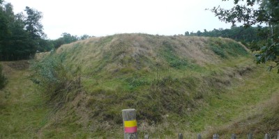 Vragenderesch