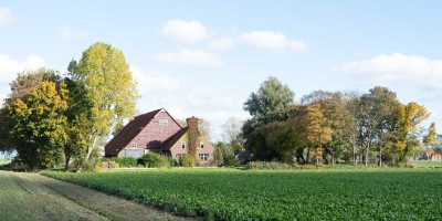 DSC_1655.jpg