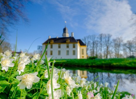 De Loolee © Ernst Koningsveld