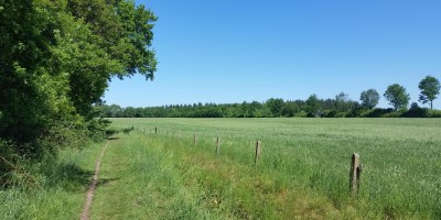 Woldberg Steenwijk