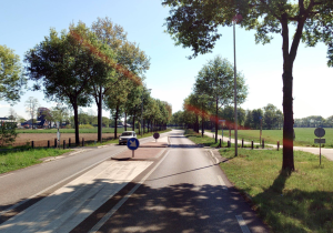 Foto oversteek N318.png
