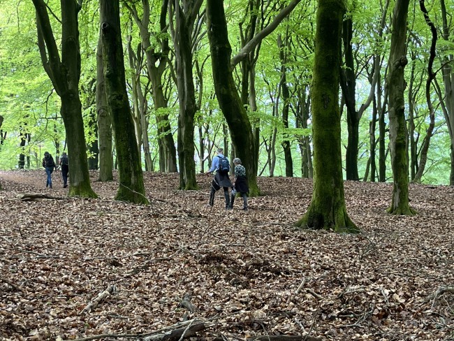 in de Onzalige Bossen © Ernst Koningsveld