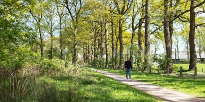 wandelaar op onverhard pad