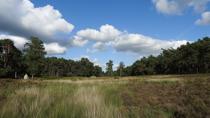 A3 Vierhoutense Heide