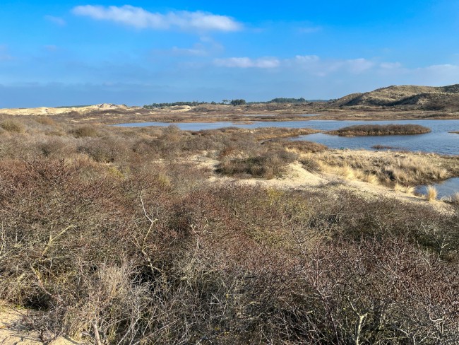 Amsterdamse Waterleidingduinen © Ernst Koningsveld