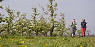Wandelaars_bij_boomgaard.jpg