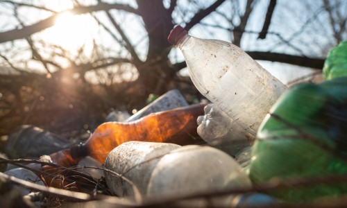 ground-littered-with-plastic-bottles.jpg