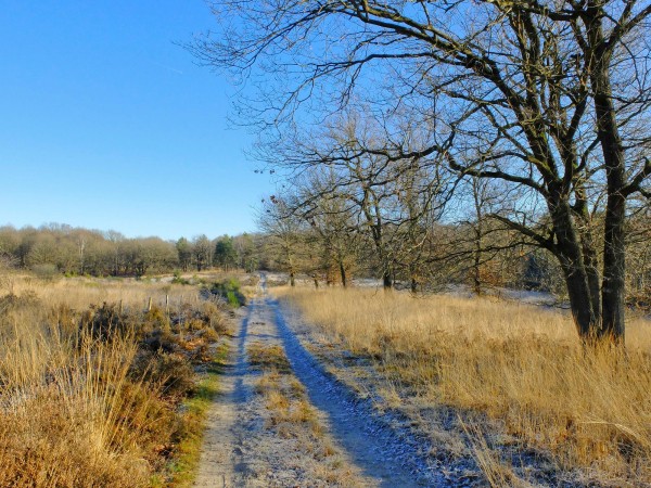 nationaal-park-de-meinweg