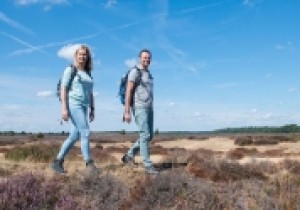 Omgevingswet-en-wandelen_0.jpg